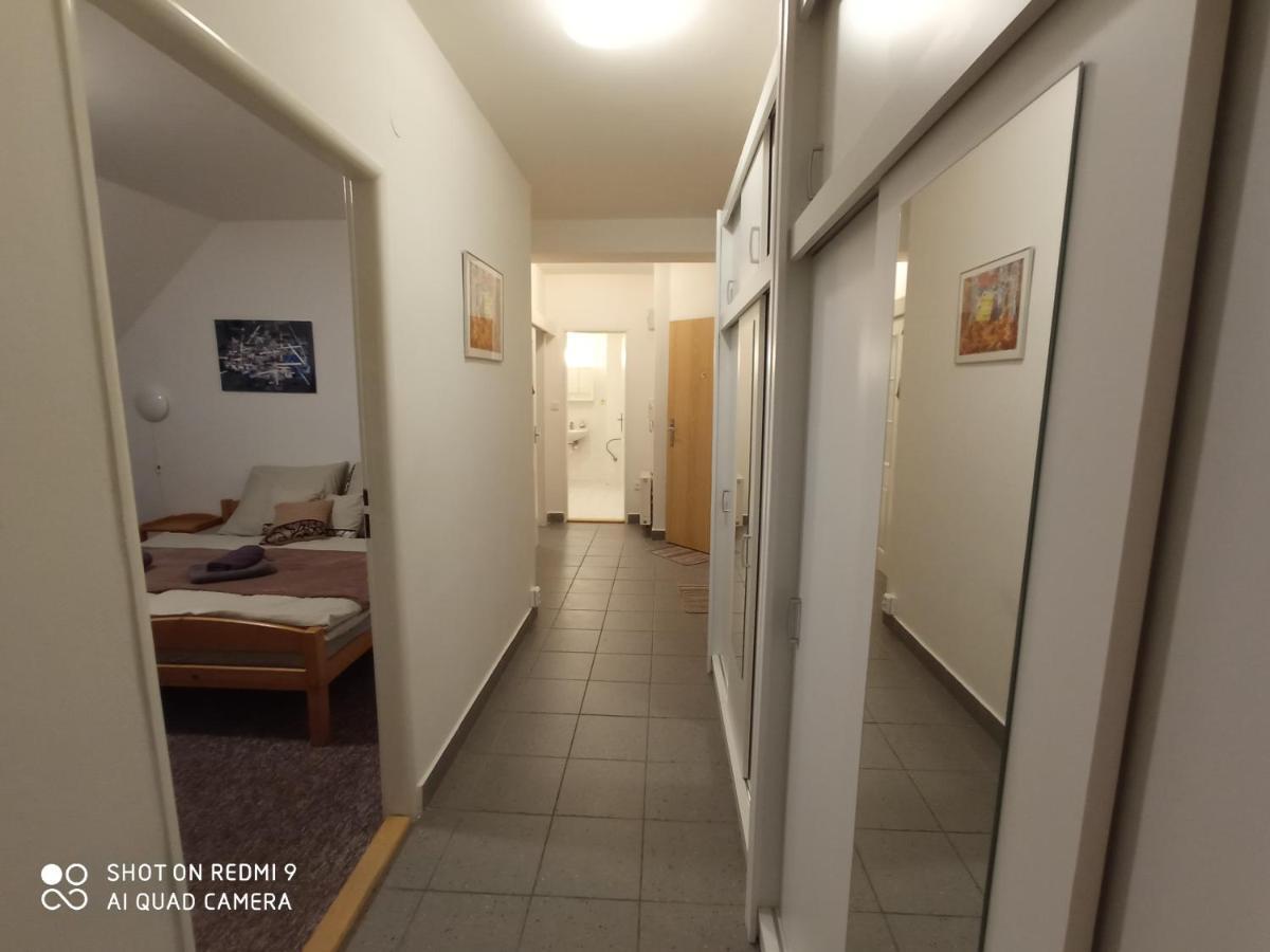 Apartmán Violeta Harrachov Exterior foto