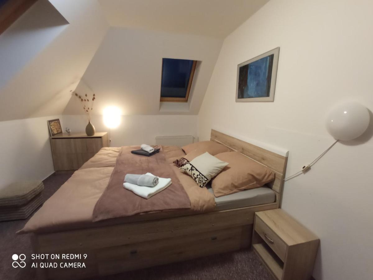 Apartmán Violeta Harrachov Exterior foto